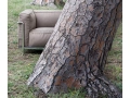 lc3_outdoor04.jpg