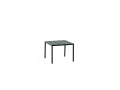 9439811409000_Balcony Low Table L50xW51,5xH38,5 dark forest.jpg
