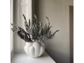 Bloom Vase Mini - Bone White.jpg