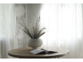 Kabin Fat Bone White.jpg