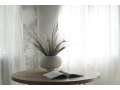 Kabin Fat Bone White.jpg