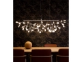 Heracleum-Linear-by-Bertjan-Pot-Applied-Image.jpg