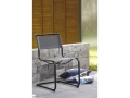 Thonet_All_Seasons_S_1040_Bush_2.jpg