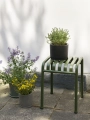Palissade Stool olive_Plant Pot with Saucer XL black_Plant Pot with Saucer M grey_Botanical Family Set L dusty green.jpg