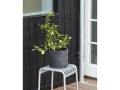 Palissade Stool Hot Galvanised_Plant Pot With Saucer XXL black.jpg