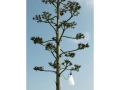 Mayday Outdoor-Flos-outdoor lighting-TommasoSartori-.jpg
