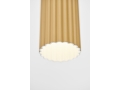 Pholc_Donna_7_pendant_autumn_leaves_960118_a1.jpg