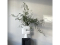 Tribal - Bone White - Mood 5.jpg