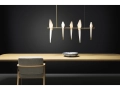 Moooi 20170130.jpg