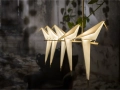 Perch_Light_Branch_06.jpg