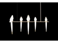 Perch_Light_Branch-black-bg.jpg