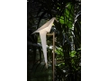 Perch_Light_Floor_5.jpg