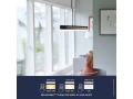 Moodmaker Skylar Pendant 2113003003_5.jpg