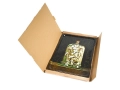 BOX-DINOCLOCHE.jpg