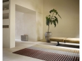 BC-focus-dawn-096103-1.jpg