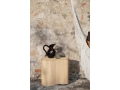 fermLIVING-SS22-IsolaStorageTable-VersoJug-image-1.jpg