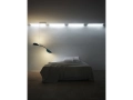 Almendra-flos-R-08.jpg