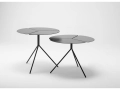 folia02.jpg