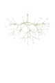 Heracleum-III-suspended-green.png