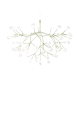 Heracleum-III-suspended-green.png