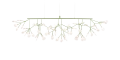 Heracleum-III-Linear-Green.png