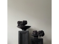 Medusa Trays - Mood - 1.jpg