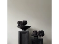 Medusa Trays - Mood - 1.jpg