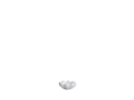 Bloom Tray, Mini - Bone White - taca