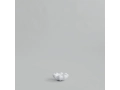 221043 - Bloom Tray, Mini - Bone White.jpg