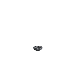 Bloom Tray, Mini - Dark Grey - taca