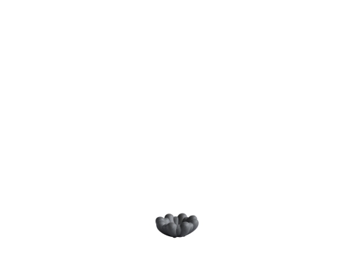 221047 - Bloom Tray, Mini - Dark Grey - White Packshot.jpg