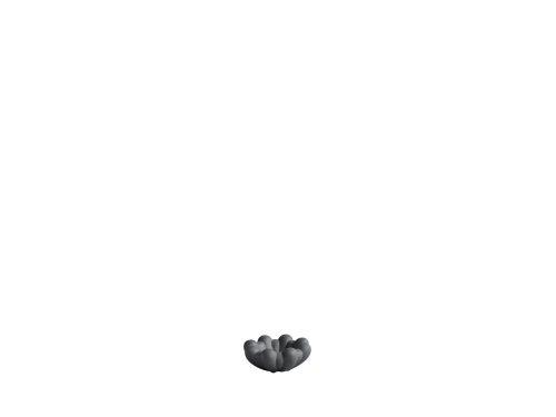 221047 - Bloom Tray, Mini - Dark Grey - White Packshot.jpg