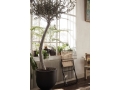 fermLIVING-DesertDiningChair-image-2.jpg