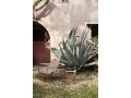 fermLIVING-SS22-DesertLoungeChair-DesertStool-RedSand-image.jpg