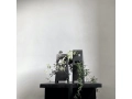 Ruin Vases.jpg