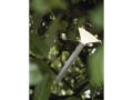 piton-lamp-portable-aluminum-muuto-org.jpg