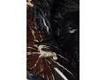 Hana-Armchair-Menagerie-of-Extinct-Animals-Velvet-01.jpg