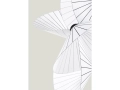 Serpentine-detail-on-grey.jpg