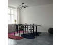 Salon Chandelier - Mood.jpg