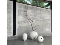 Sumo Bone white 3x.jpg