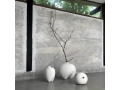 Sumo Bone white 3x.jpg