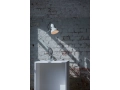 original-1227-desk-lamp-linen-white-1.jpg