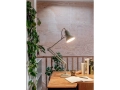 original-1227-eu-desk-lamp-on-sage-green.jpg