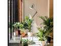 original-1227-floor-lamp-sage-green.jpg