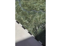 Plastic-Rivers-Yangtze-image-det-02.jpg