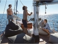 sail03.jpg