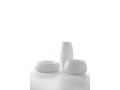 sahara-planters-composition-white-2.jpg