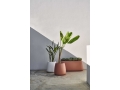 sahara-planter-1-beige-red-planter-5-white-1.jpg