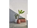 sahara-planter-1-beige-red-planter-5-white-1.jpg