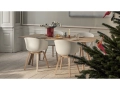 AAC 22 white shell wb lacquer oak_CPH 30 wb lacquer oak top wb lacquer oak base_Arcs Vase red 01.jpg